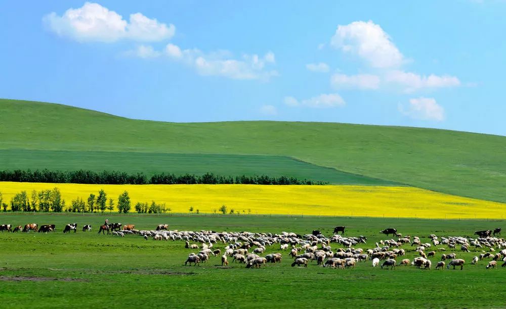 内蒙古发展探讨,观点解析与未来发展展望