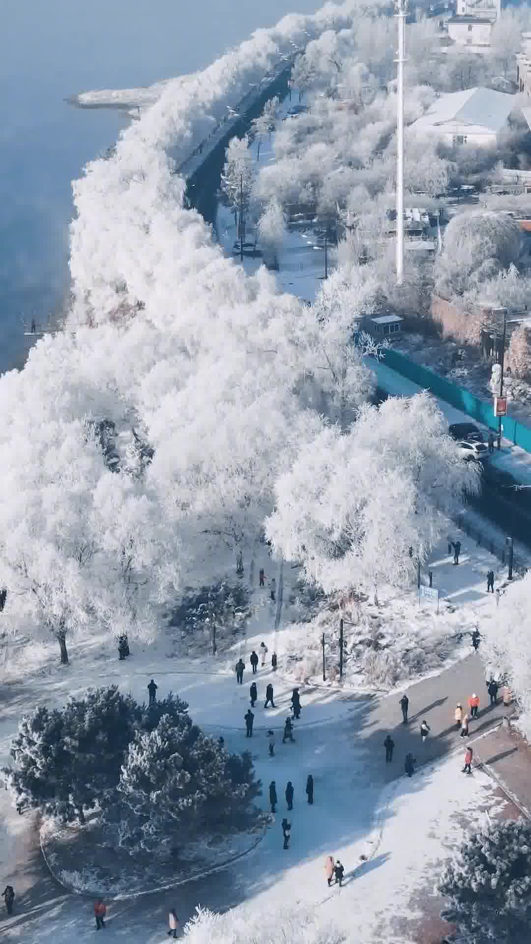 吉林雪韵,破旧伞下的深情独白