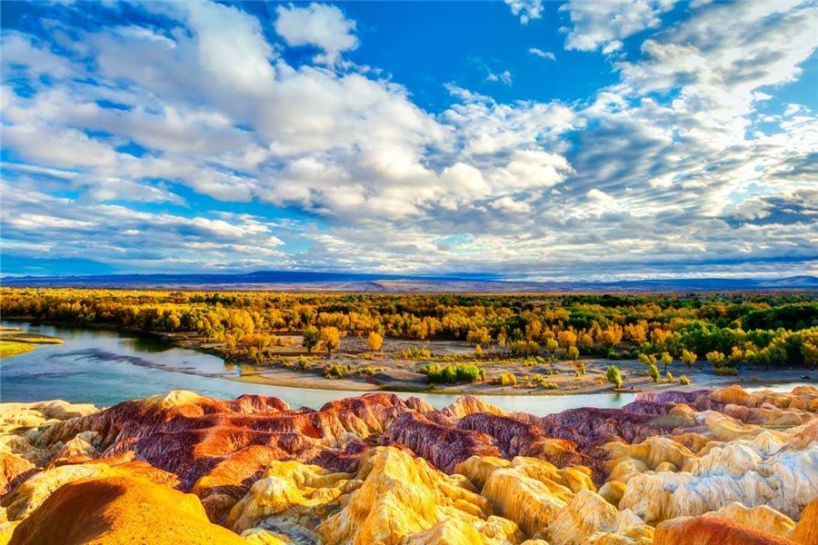 新疆阳光之旅,温暖陪伴的日记篇章