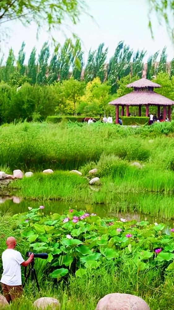 包头,工业重镇的崛起之路