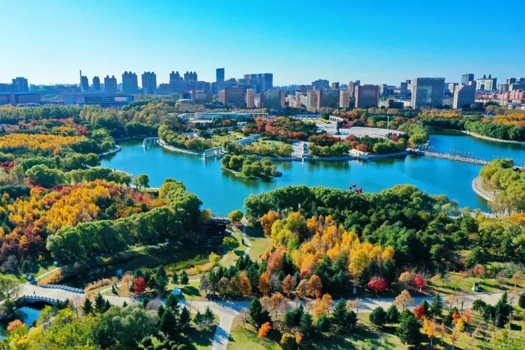 长春，历史底蕴与现代风采的交融之城