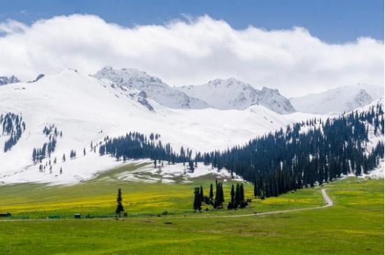 草原母亲的怀抱，呼伦贝尔的壮美与宁静